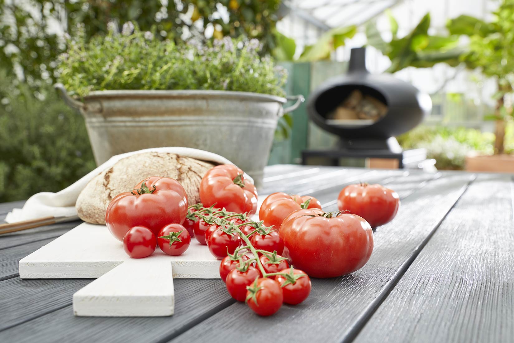 Vorbereitung für den Grillend. Tomaten, Brot und Kräuter in einer Zinkwanne | NIKKY MAIER photo - 02