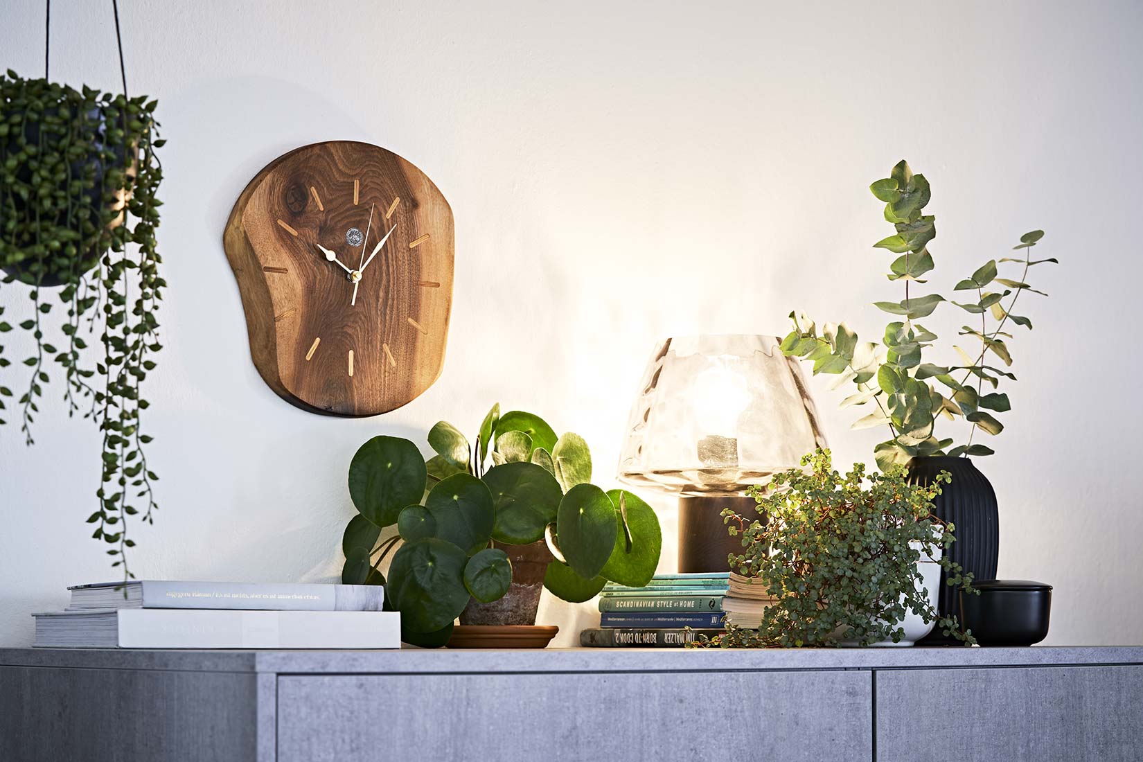 die handgefertigte Wanduhr aus Holz macht sich gut im Umfeld von vielen grünen Zimmerpflanzen - Nikky Maier photo-01