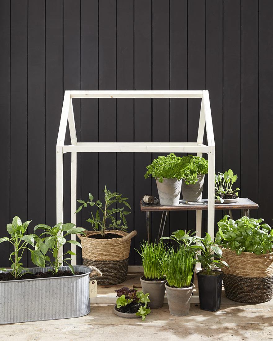 Kräutertöpfe, Tomatenpflanzen und junge Paprikapflanzen für Garten und Balkon vor einer schwarzen Holzwand fotografiert | NIKKY MAIER photo - 08